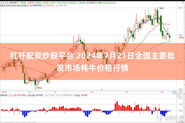 杠杆配资炒股平台 2024年7月21日全国主要批发市场牦牛价格行情