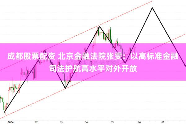 成都股票配资 北京金融法院张雯：以高标准金融司法护航高水平对外开放