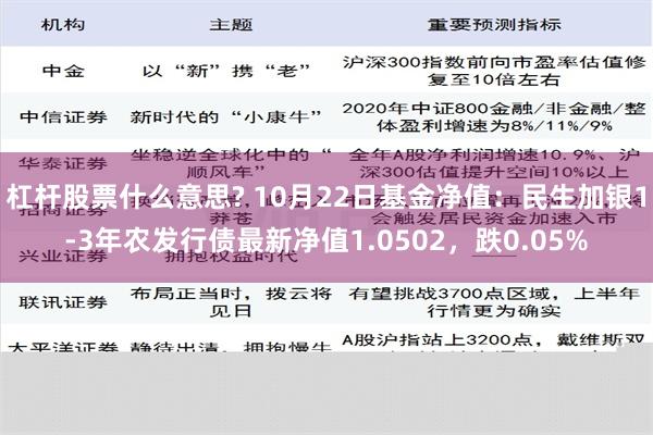 杠杆股票什么意思? 10月22日基金净值：民生加银1-3年农发行债最新净值1.0502，跌0.05%