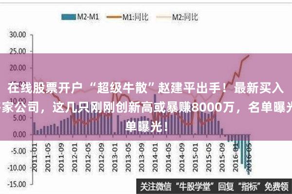 在线股票开户 “超级牛散”赵建平出手！最新买入多家公司，这几只刚刚创新高或暴赚8000万，名单曝光！