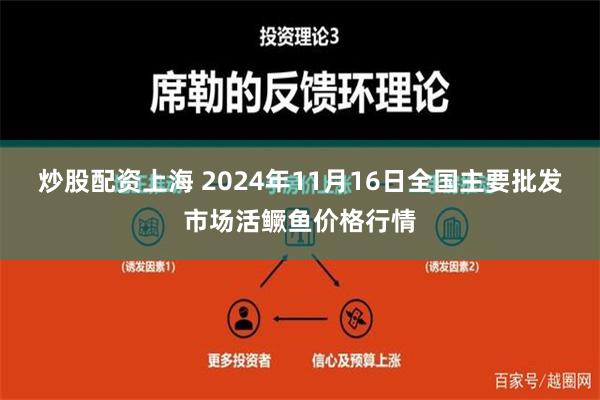 炒股配资上海 2024年11月16日全国主要批发市场活鳜鱼价格行情