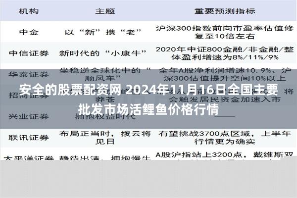 安全的股票配资网 2024年11月16日全国主要批发市场活鲤鱼价格行情