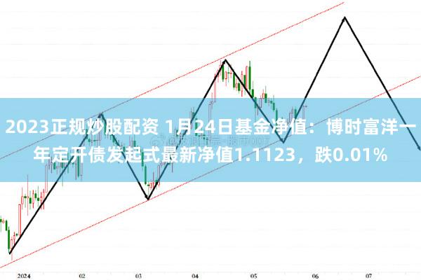 2023正规炒股配资 1月24日基金净值：博时富洋一年定开债发起式最新净值1.1123，跌0.01%