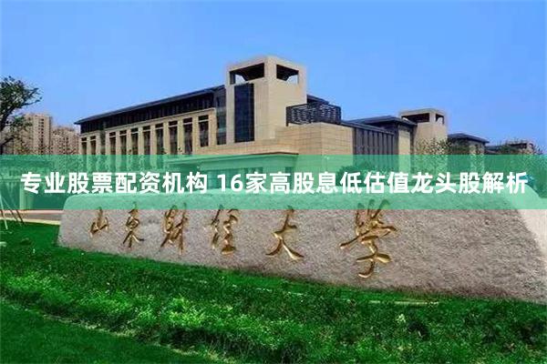 专业股票配资机构 16家高股息低估值龙头股解析