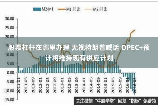 股票杠杆在哪里办理 无视特朗普喊话 OPEC+预计将维持现有供应计划