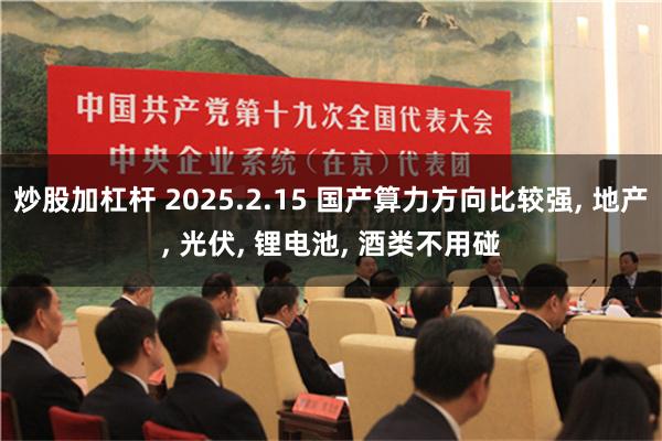 炒股加杠杆 2025.2.15 国产算力方向比较强, 地产, 光伏, 锂电池, 酒类不用碰